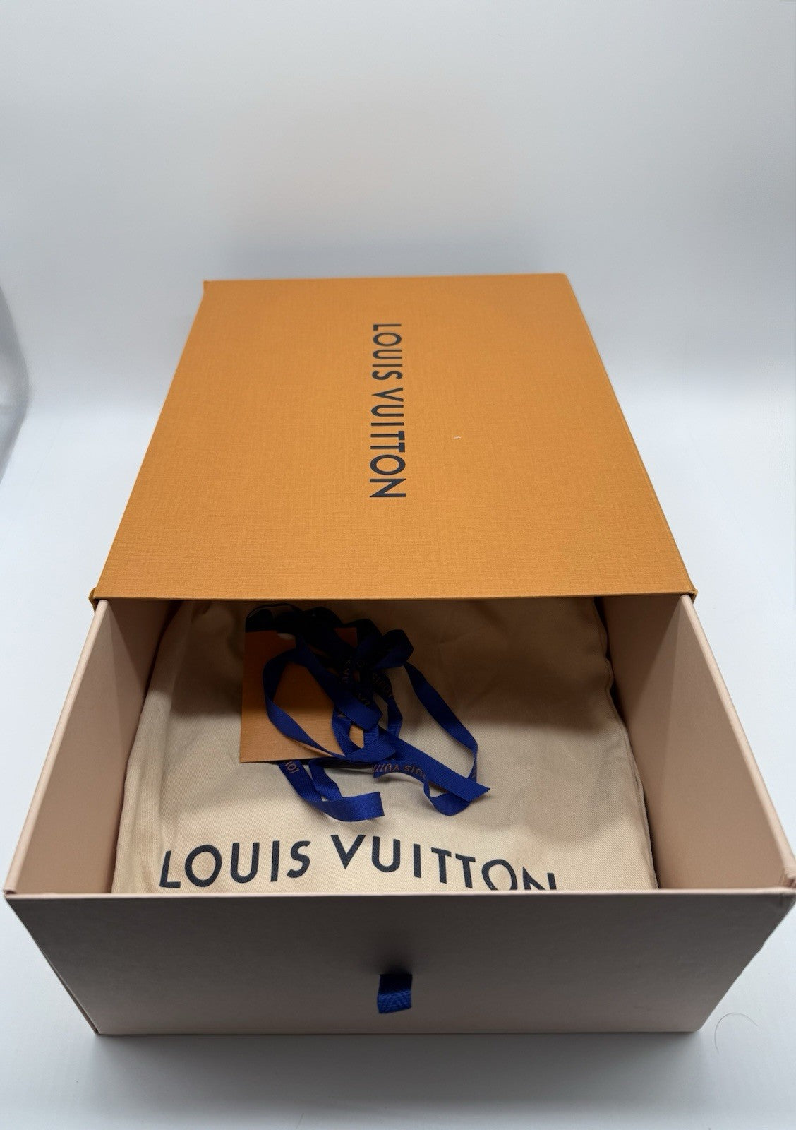 Size 10 - Louis Vuitton Trainer Low #54 Mini Monogram - Blue