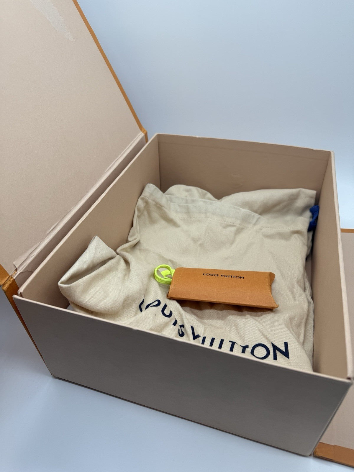 Size 11 - Louis Vuitton Trainer Low Black