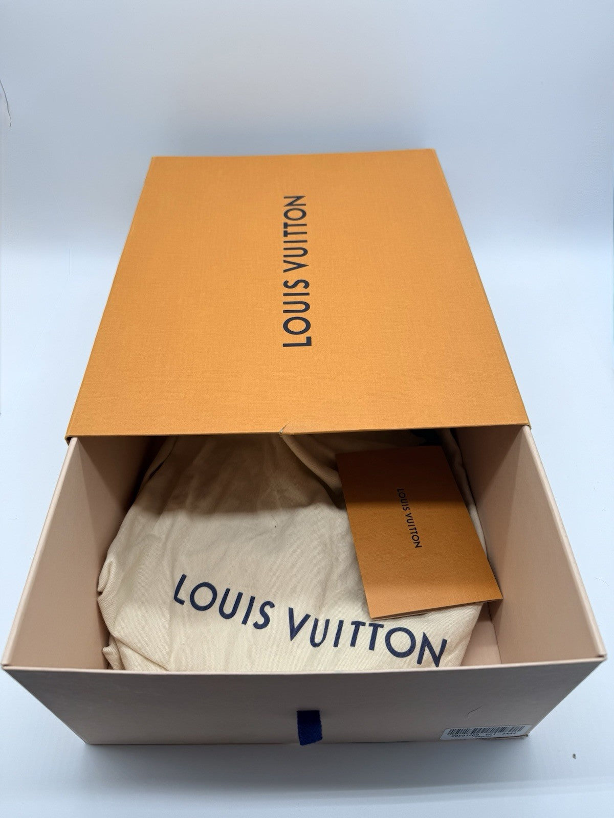 Size 10.5 - Louis Vuitton Skate Sneaker Grey Black